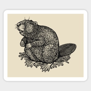 Canadian(North American) Beaver Sticker